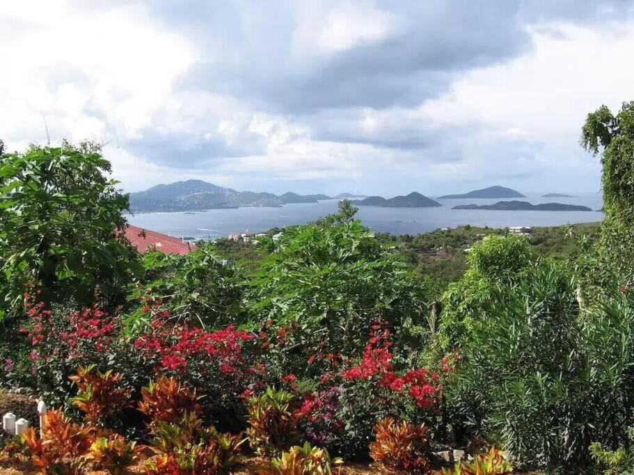 Cielo Vista Villa 3 Bdrm Sleeps 6 Heavenly View Cruz Bay Екстер'єр фото
